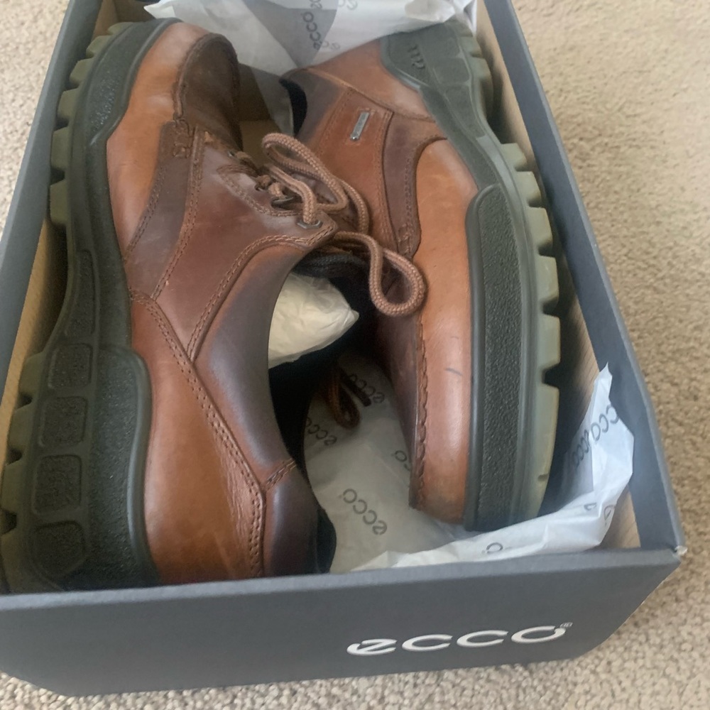 Ecco Track shoes